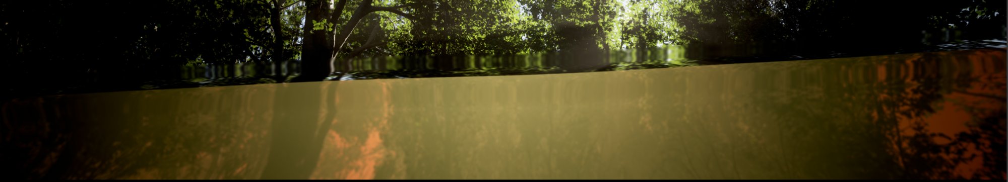 Forest light