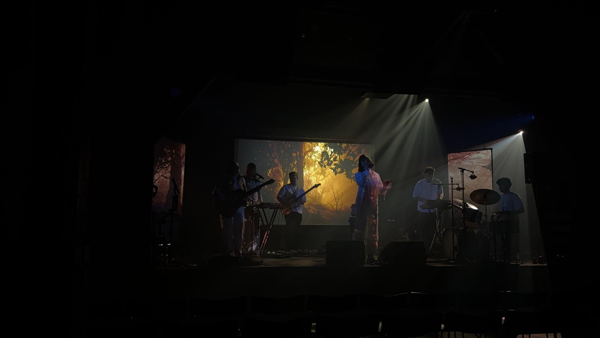 NEBULAH performing live in front of projected forest visuals