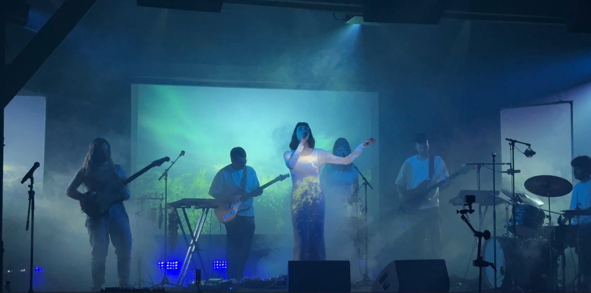 NEBULAH performing in front of a projected forest