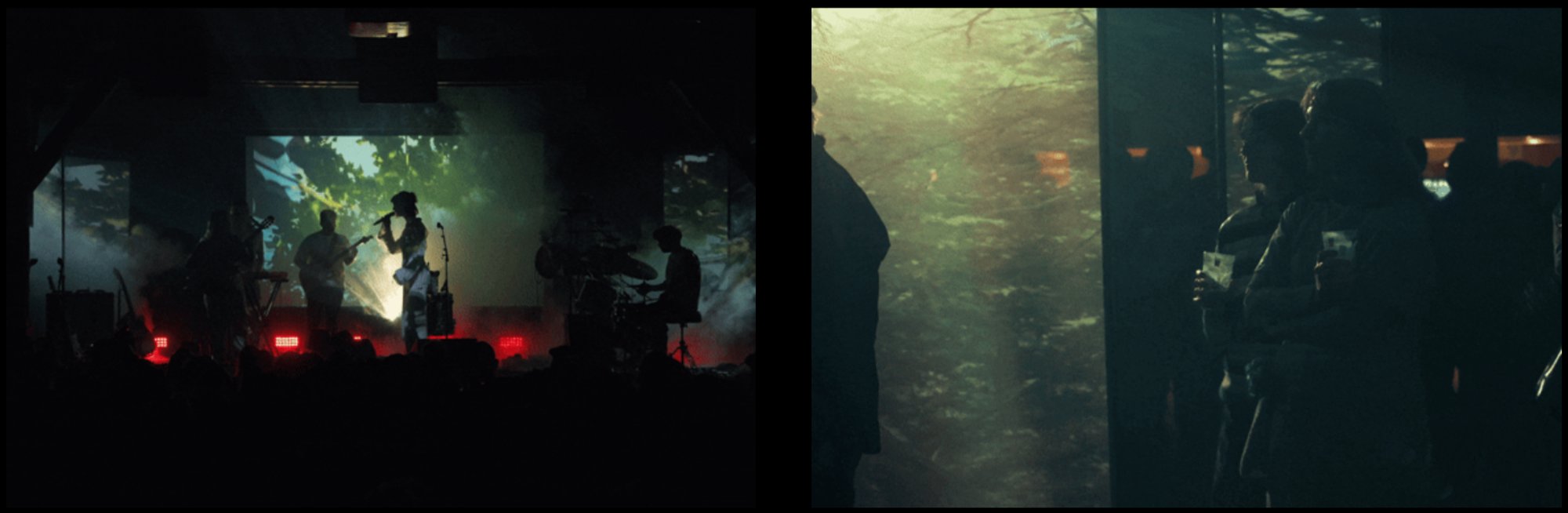 The Sun in performance — projected forest across the stage and surfaces