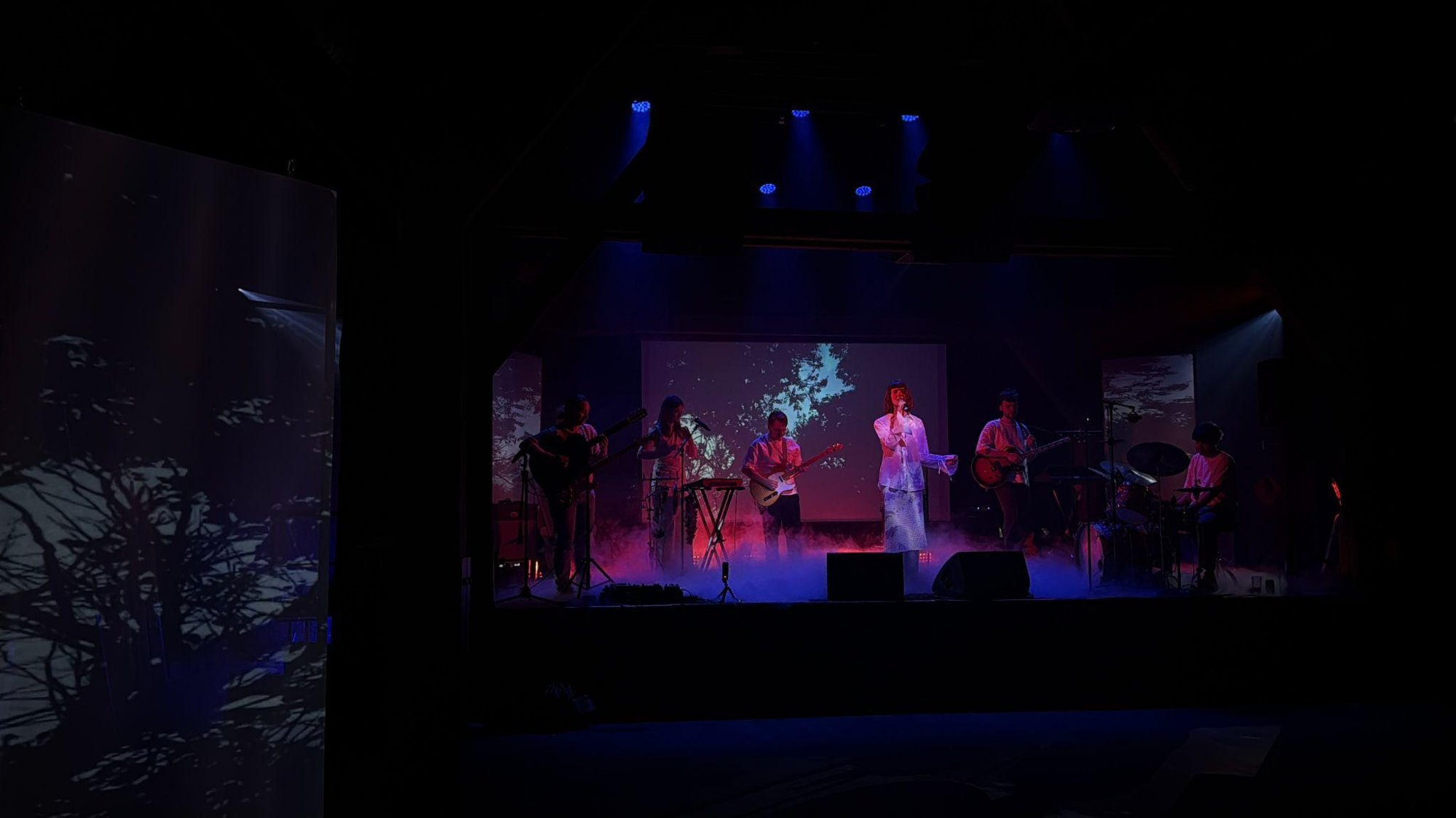 NEBULAH live on stage with projected forest visuals
